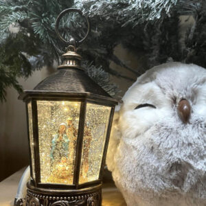 fibre optic train with santa