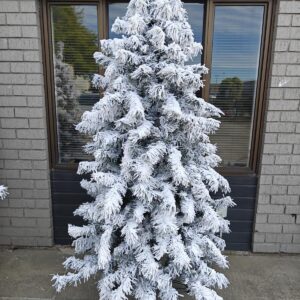 7.5′ snow drooping pine tree with 500 warm lights