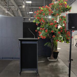 370cm pohutukawa tree