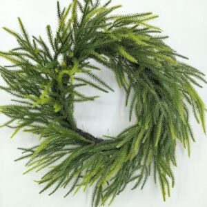24" green soft touch norfork pine wreath