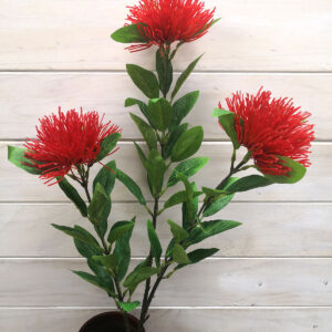 pohutukawa spray