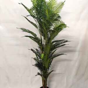 230cm large palm plant