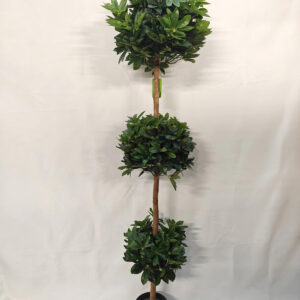 230cm large palm plant