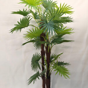 230cm large palm plant