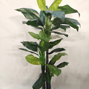230cm large palm plant