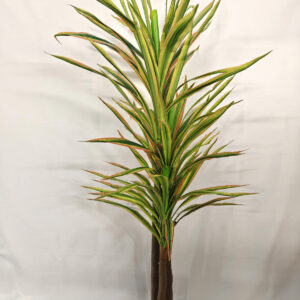 230cm large palm plant