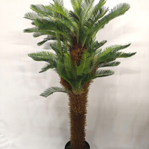 230cm large palm plant